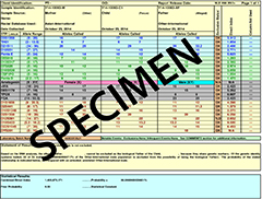 DNA Test - Negative Results Report