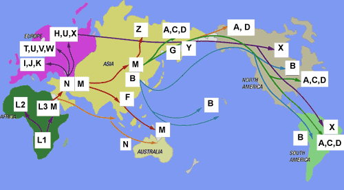 Migration Map